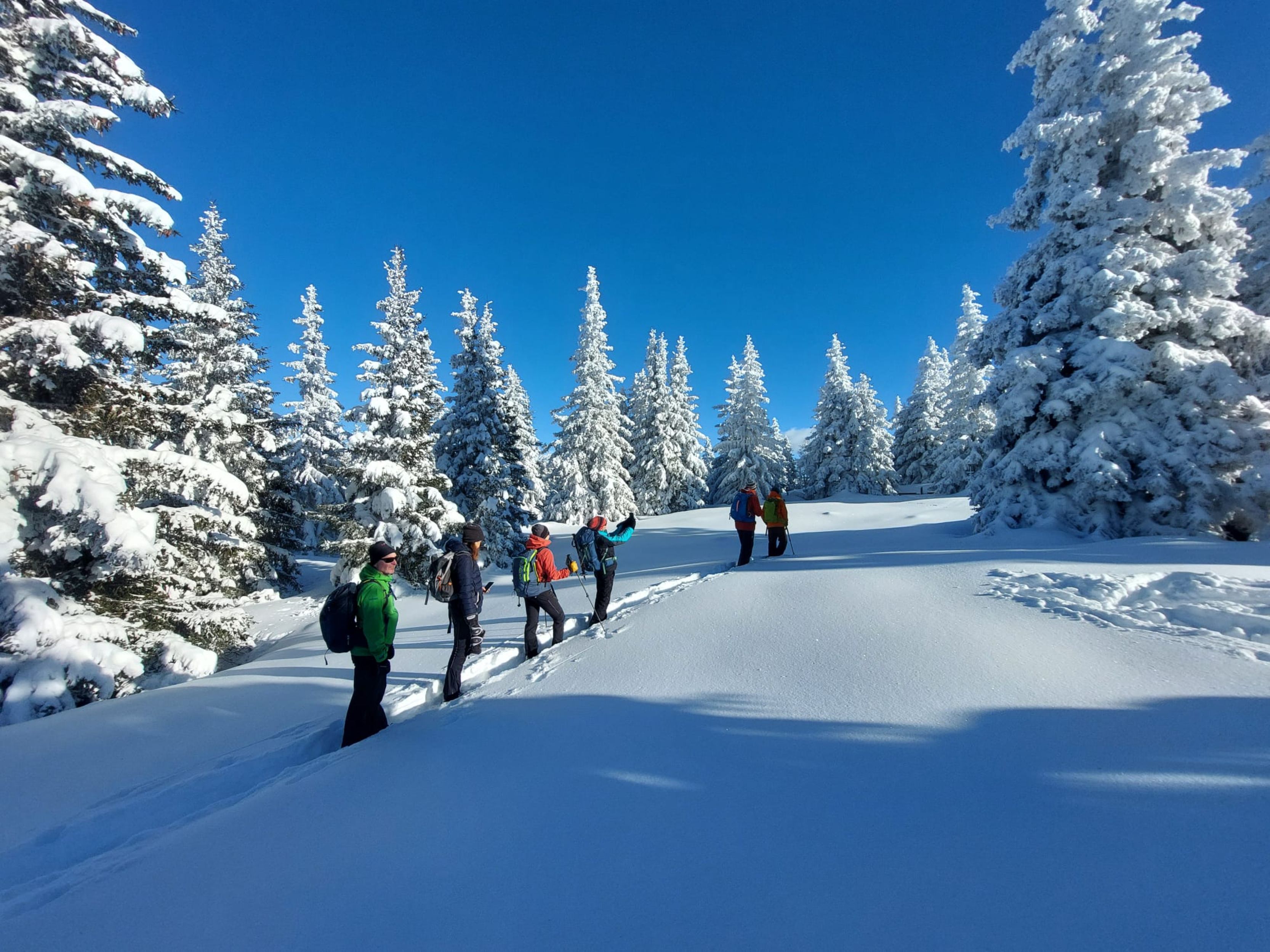 Schnee[-]schuh Wander & Yogatage im Wipptal